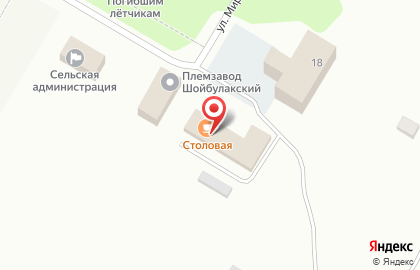 Мясной магазин Йола маркет на улице Мира на карте