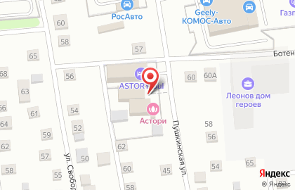 Банно-гостиничный комплекс Астория на Пушкинской улице на карте