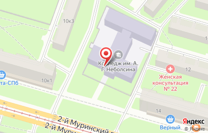 Невский колледж им. А.Г. Неболсина в Санкт-Петербурге на карте