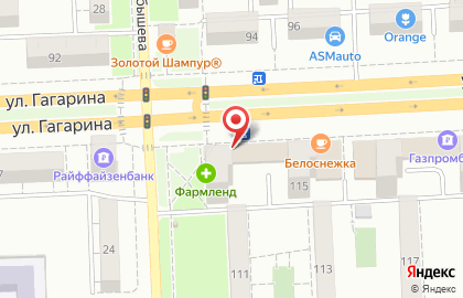 Киоск фастфудной продукции на улице Гагарина на карте