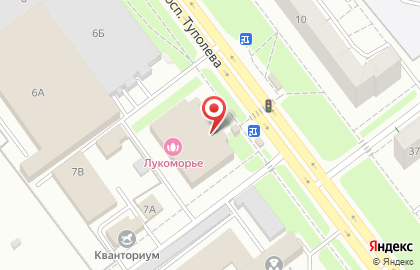 Ателье по пошиву и ремонту одежды Евгения на проспекте Туполева на карте