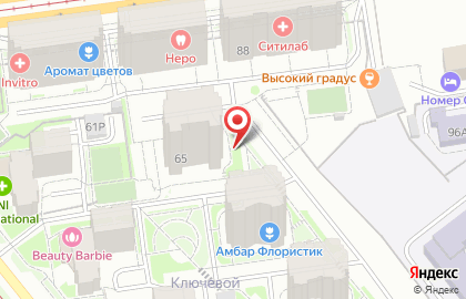 Производственная фирма Эдельвейс на улице Орджоникидзе на карте