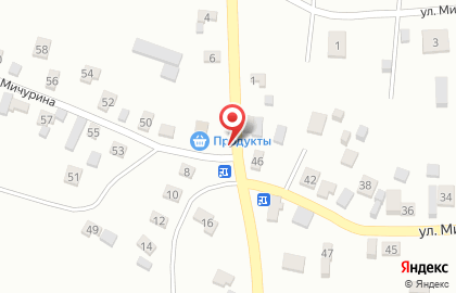 ООО Продукты на улице Мичурина на карте