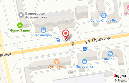 Киоск по продаже мороженого Славица на улице Пушкина, 44 на карте