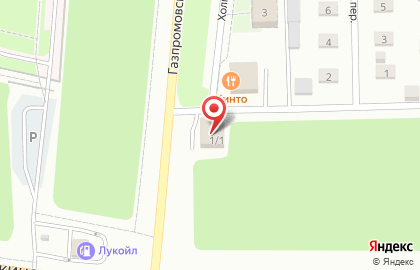 Салон флористики и декора Цветочная феерия в Ленинском районе на карте