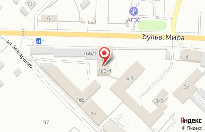 Бобр на улице Мира на карте