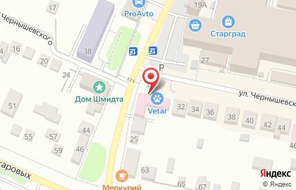 Ветеринарная аптека Vetar на улице Чернышевского на карте