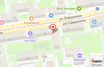 Вымпел на улице Савушкина на карте