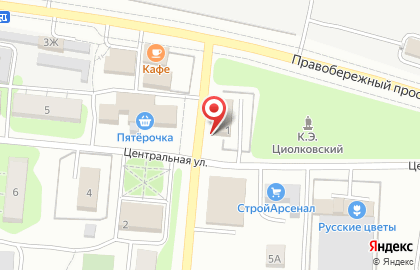Магазин Рыбный день на Центральной улице на карте