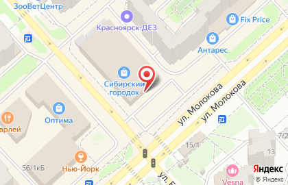 Химчистка-прачечная АкваЛоск на улице Молокова на карте