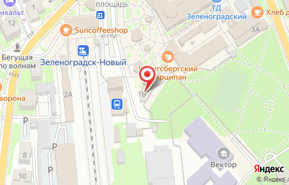 Магазин Тортино на Вокзальной улице в Зеленоградске на карте