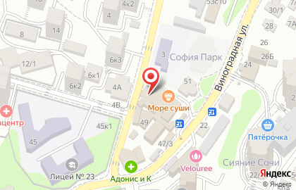 Магазин канцелярских и сувенирных товаров Канцелярия+ на Виноградной улице на карте