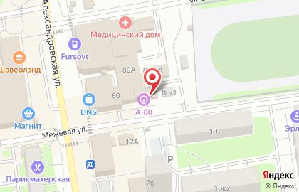 Магазин зоотоваров Наш Зверолаш на Александровской улице на карте