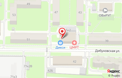 Автоматизированный пункт выдачи товаров TelePort на Дибуновской улице на карте