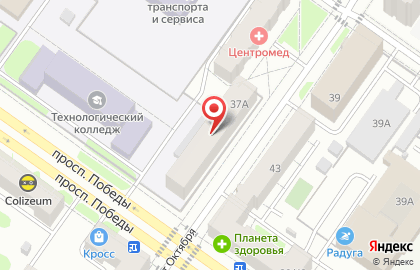 Лилия, магазин цветов на карте