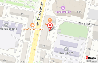 Профессионал на карте