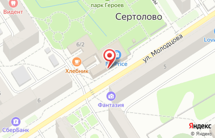 Мастерская по ремонту телефонов, ноутбуков и планшетов на улице Молодцова на карте
