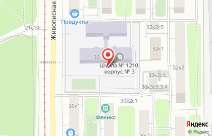 Спецстрой-живописная на карте