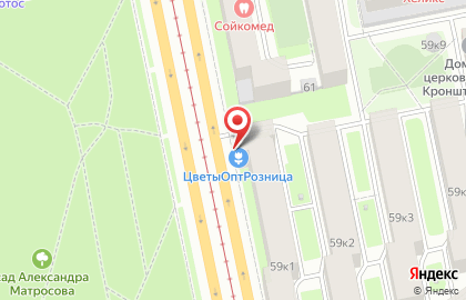 Цветочный салон на Лесном проспекте на карте
