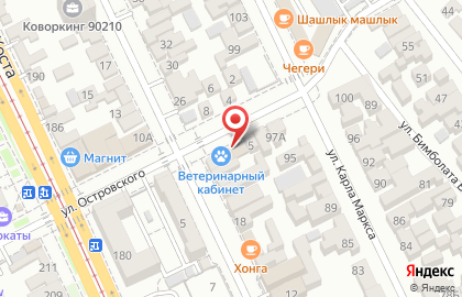 Магазин зоотоваров Пес и кот на улице Островского на карте