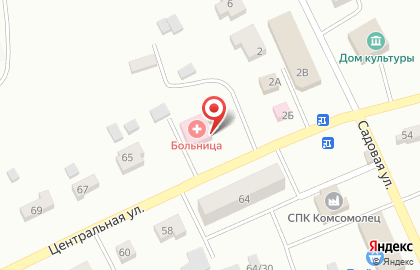 Больница Тамбовская центральная районная больница на Центральной улице на карте