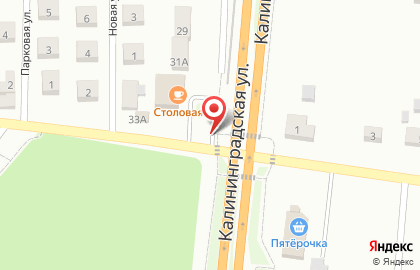 Продовольственный магазин Золотая рыбка на Калининградской улице на карте
