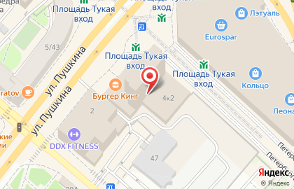 Шашлычный Двор на улице Пушкина на карте