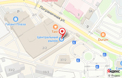 Магазин по продаже овощей СХП Овощевод в Петропавловске-Камчатском на карте