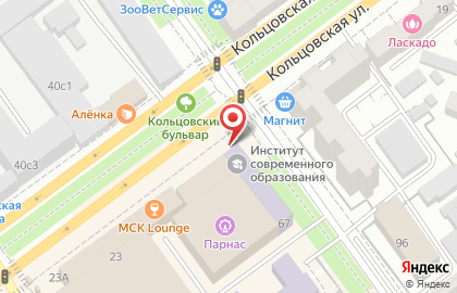 Институт современного образования в Воронеже на карте
