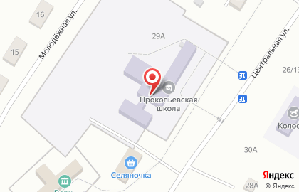 Средняя общеобразовательная школа на Центральной улице на карте