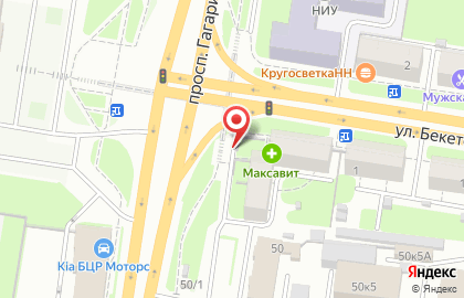 Цветочный салон на проспекте Гагарина на карте