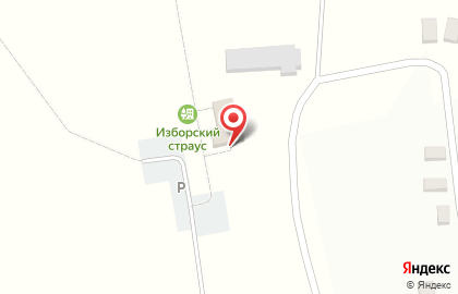 Экоферма Изборский страус на карте