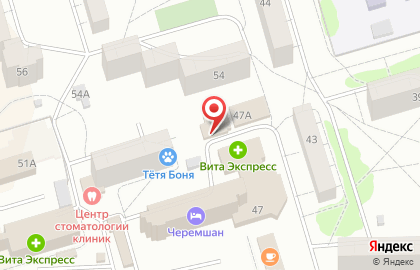 Зоомагазин Любимчик в Димитровграде на карте