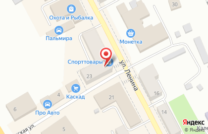 Магазин шин и дисков Vianor, магазин шин и дисков на улице Ленина на карте