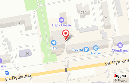 Торговая компания Топенар на улице Пушкина на карте