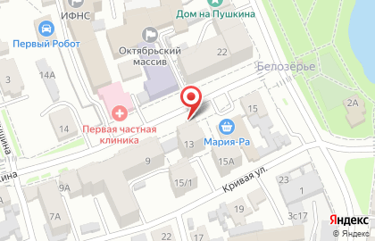 ООО Транс-Лизинг на улице Пушкина на карте