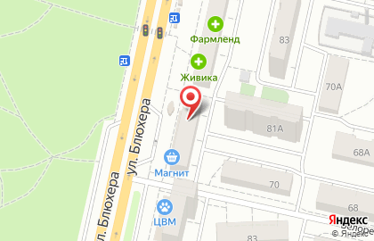 Сеть по продаже печатной продукции Роспечать на улице Блюхера, 81 киоск на карте