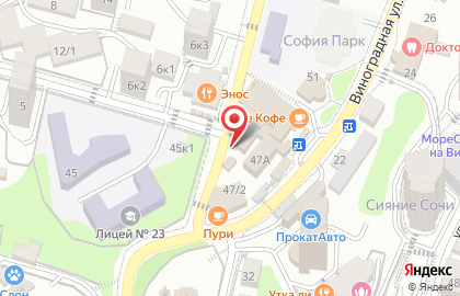 Магазин цветов в Сочи на карте
