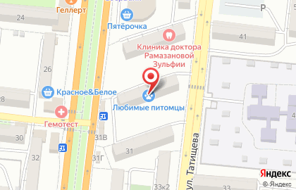 Ветеринарный центр Любимые питомцы на улице Савушкина на карте