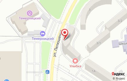 Агентство недвижимости Домиан на улице Лелюшенко на карте