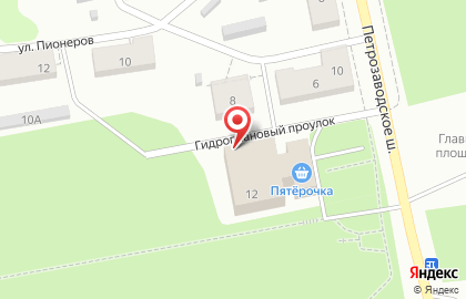 Спортивная школа №4 на Петрозаводском шоссе на карте