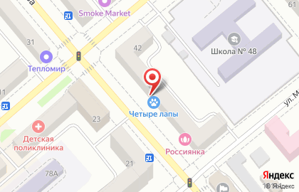 Мини-маркет зоотоваров Четыре лапы на улице Савельева на карте