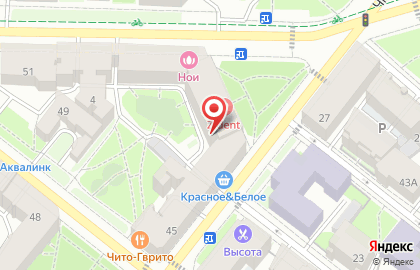 Гжель на Левашовском проспекте на карте