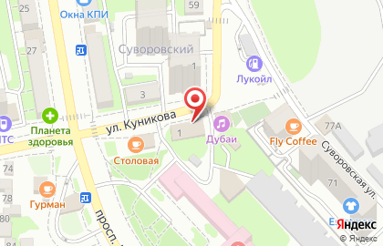 Магазин садово-хозяйственных товаров Садовод на улице Куникова на карте