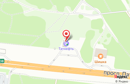 Воронежская топливная компания на проспекте Патриотов на карте