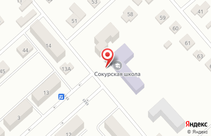 Сокурская средняя общеобразовательная школа на карте