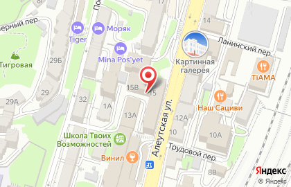 Компания ВладСпец-Безопасность на карте