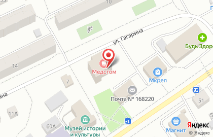 Ветсервис на улице Гагарина на карте