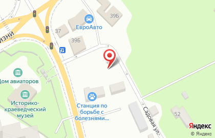 Ветеринарная станция Ленинградской области на карте