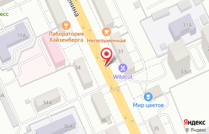 Ветеринарный врач на проспекте Ленина на карте